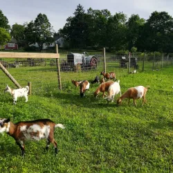 Flanders Nature Center & Land Trust - Waterbury