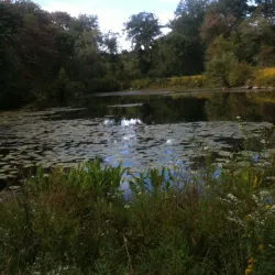 Flanders Nature Center & Land Trust - Waterbury