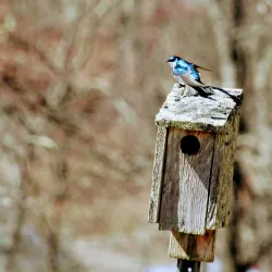 Flanders Nature Center & Land Trust - Waterbury