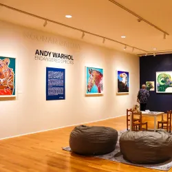 Mattatuck Museum - Waterbury