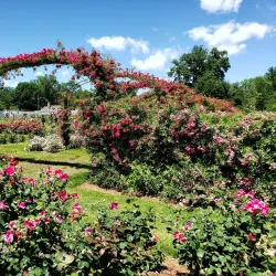 Elizabeth Park - West Hartford