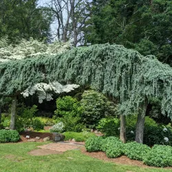 Elizabeth Park - West Hartford