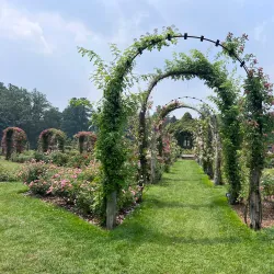 Elizabeth Park - West Hartford