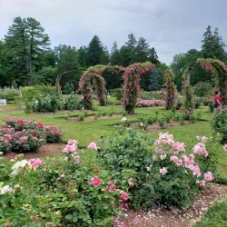 Elizabeth Park - West Hartford