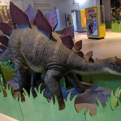 The Children's Museum - West Hartford