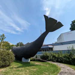 The Children's Museum - West Hartford