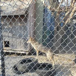 The Children's Museum - West Hartford