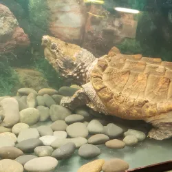 The Children's Museum - West Hartford