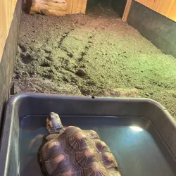 The Children's Museum - West Hartford