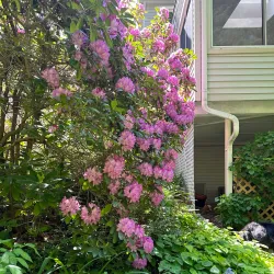 West Hartford Center - West Hartford