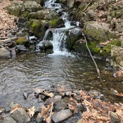 West Hartford Reservoirs - West Hartford