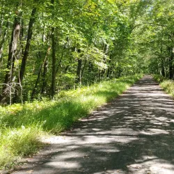 Air Line State Park Trail - Willington