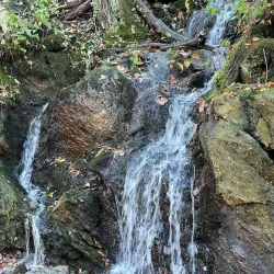 Air Line State Park Trail - Willington