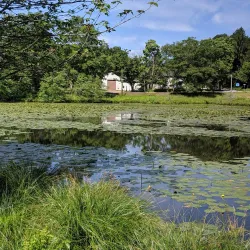 Air Line State Park Trail - Willington