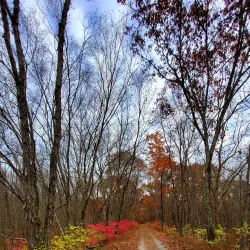 Air Line State Park Trail - Willington