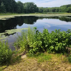 Air Line State Park Trail - Willington