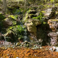 Air Line State Park Trail - Willington