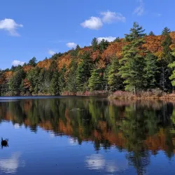 Bigelow Hollow State Park - Willington