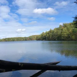 Bigelow Hollow State Park - Willington