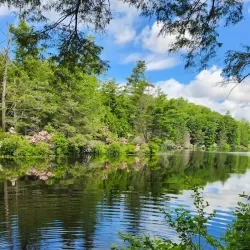 Bigelow Hollow State Park - Willington