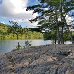 Bigelow Hollow State Park - Willington