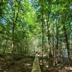 Bigelow Hollow State Park - Willington