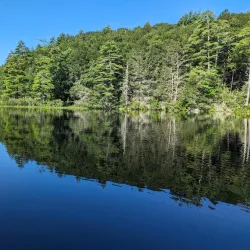 Bigelow Hollow State Park - Willington