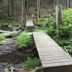 Bigelow Hollow State Park - Willington