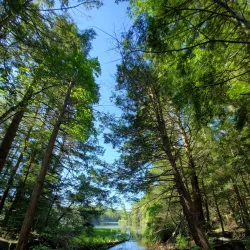 Bigelow Hollow State Park - Willington