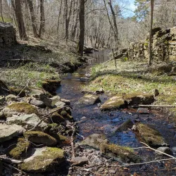 Natchaug River Canoeing and Kayaking - Willington