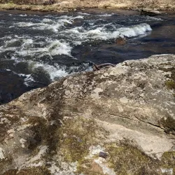 Natchaug River Canoeing and Kayaking - Willington