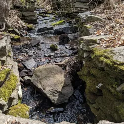Natchaug River Canoeing and Kayaking - Willington