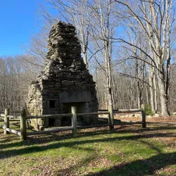 Natchaug State Forest - Willington