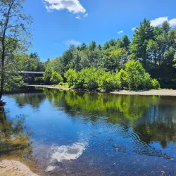 Natchaug State Forest - Willington