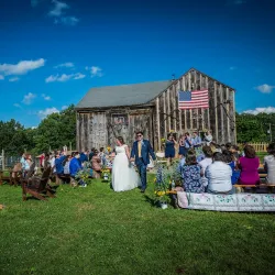 Willington Hill Farm - Willington