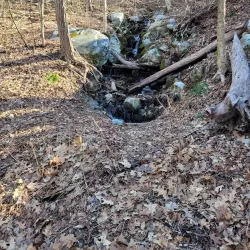 Farmington River Trail - Windsor