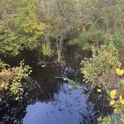 Farmington River Trail - Windsor