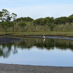 Sandy Beach Park - Windsor