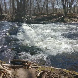 Scantic River State Park - Windsor