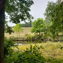 Scantic River State Park - Windsor