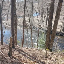 Scantic River State Park - Windsor