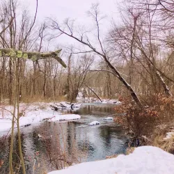 Scantic River State Park - Windsor