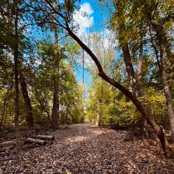 Windsor Meadows State Park - Windsor