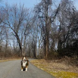 Windsor Meadows State Park - Windsor