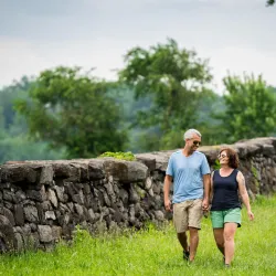 Brandywine Creek State Park - Bear
