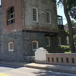 Brandywine Creek State Park - Bear