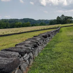 Brandywine Creek State Park - Bear