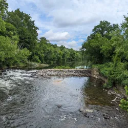 Brandywine Creek State Park - Bear