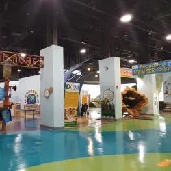 Delaware Children's Museum - Bear