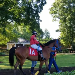 Delaware Park Racetrack and Casino - Bear